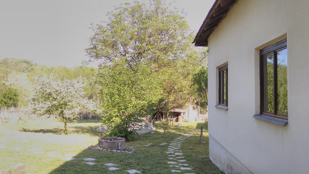 Kuca Za Odmor Radovanovic Despotovac Bagian luar foto