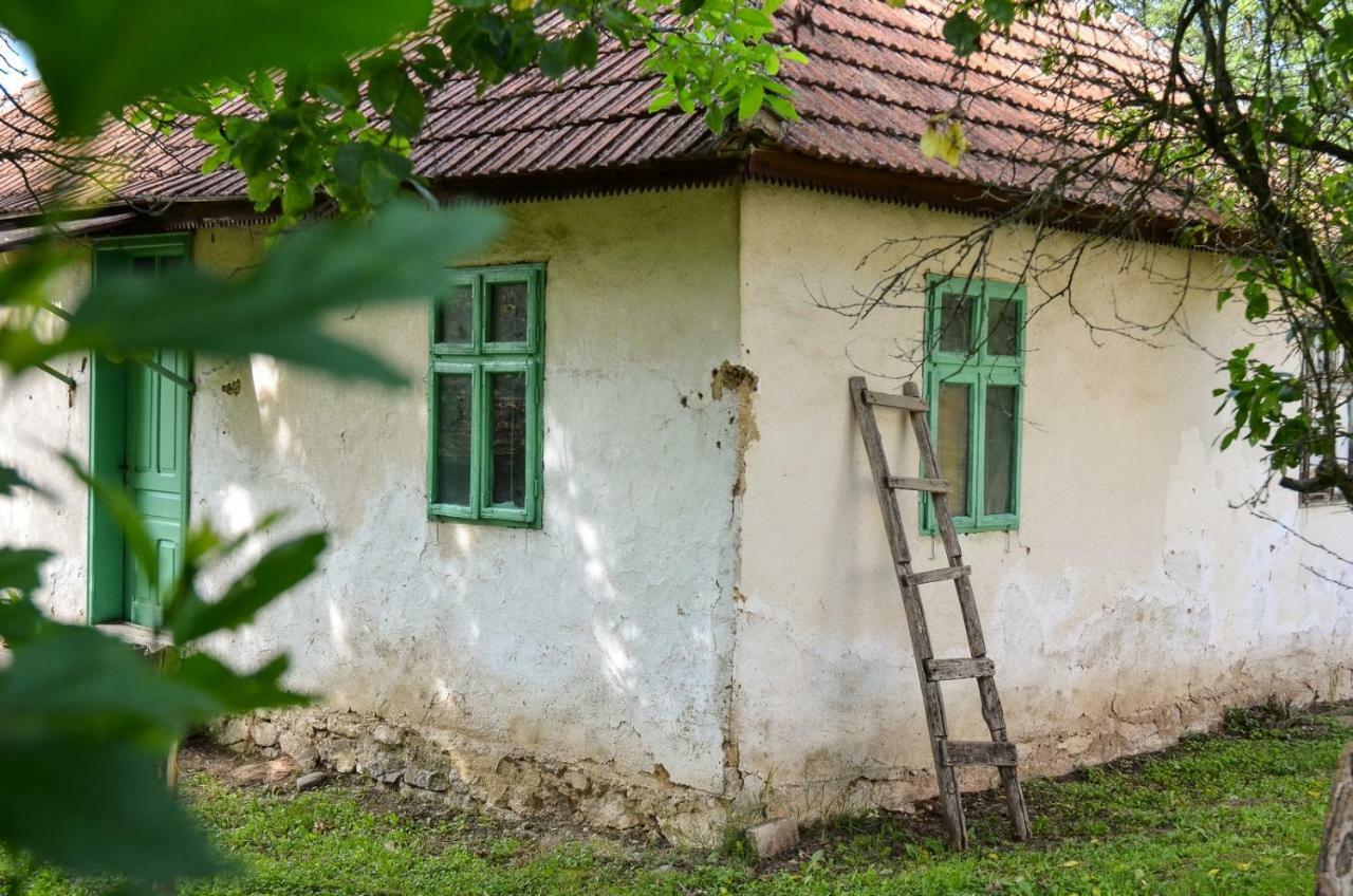 Kuca Za Odmor Radovanovic Despotovac Bagian luar foto
