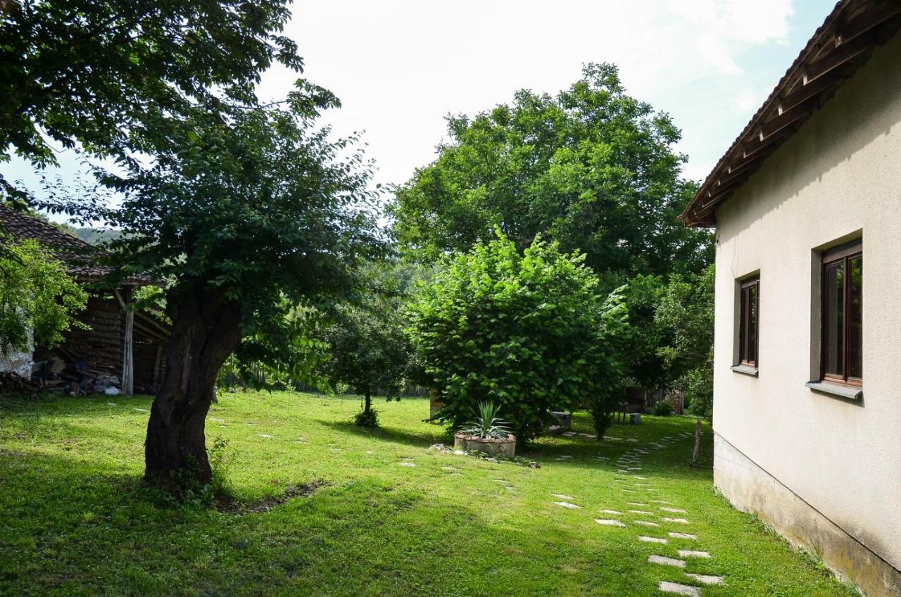 Kuca Za Odmor Radovanovic Despotovac Bagian luar foto