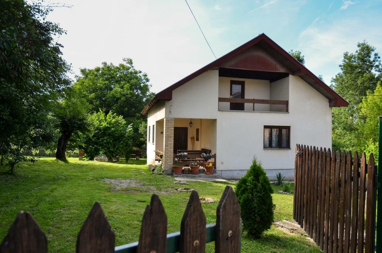Kuca Za Odmor Radovanovic Despotovac Bagian luar foto