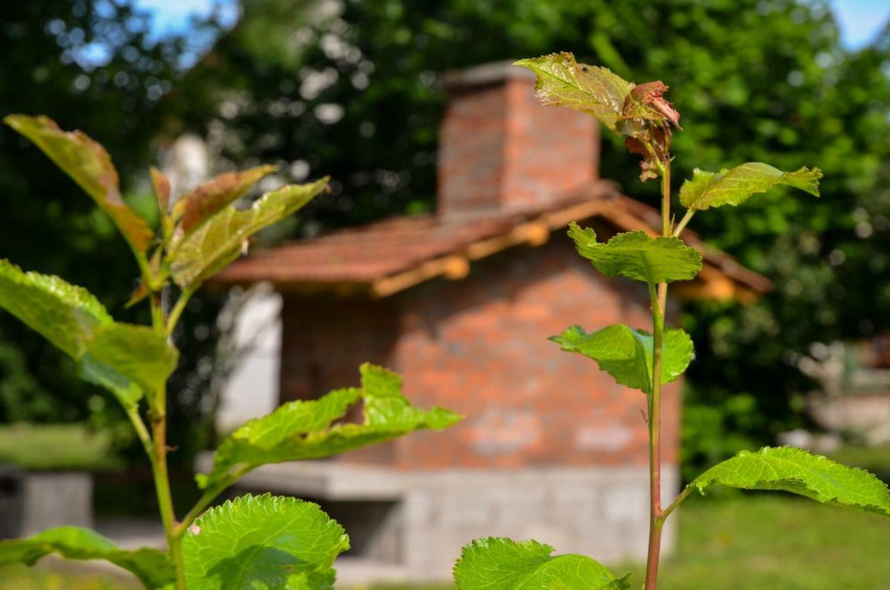 Kuca Za Odmor Radovanovic Despotovac Bagian luar foto