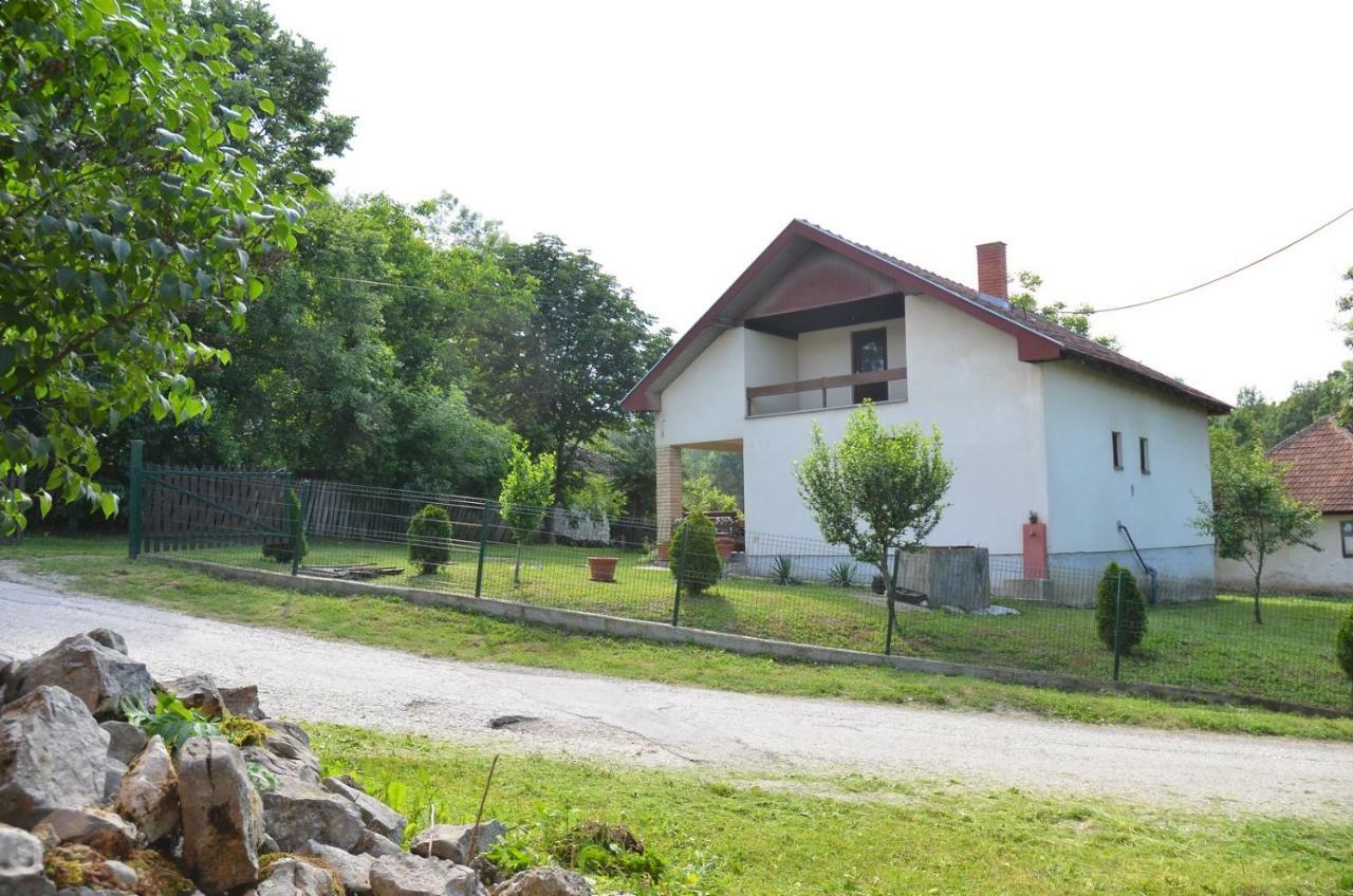Kuca Za Odmor Radovanovic Despotovac Bagian luar foto