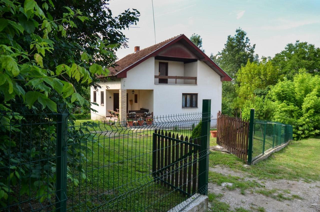 Kuca Za Odmor Radovanovic Despotovac Bagian luar foto