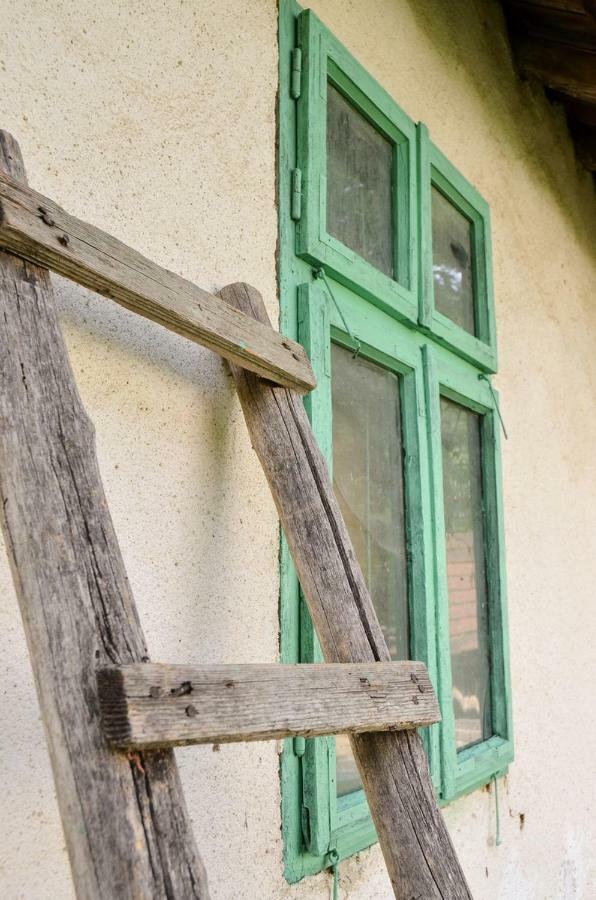 Kuca Za Odmor Radovanovic Despotovac Bagian luar foto