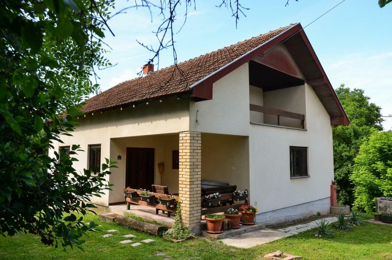 Kuca Za Odmor Radovanovic Despotovac Bagian luar foto