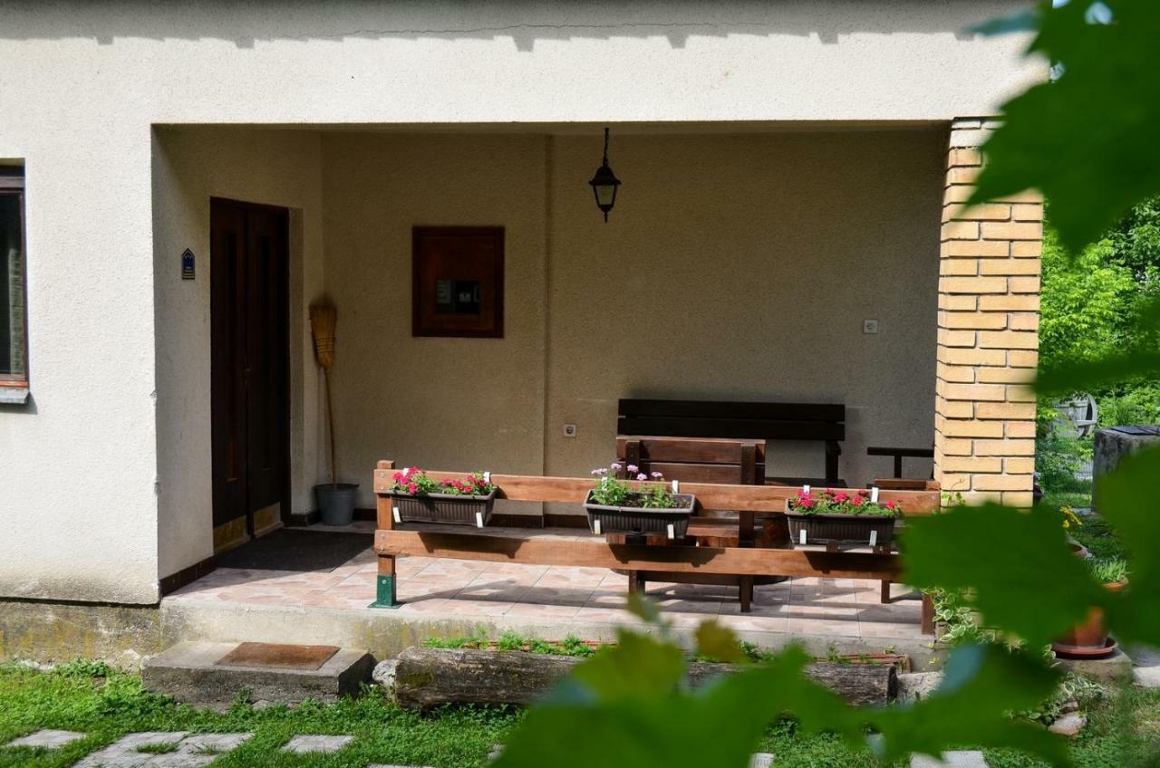 Kuca Za Odmor Radovanovic Despotovac Bagian luar foto