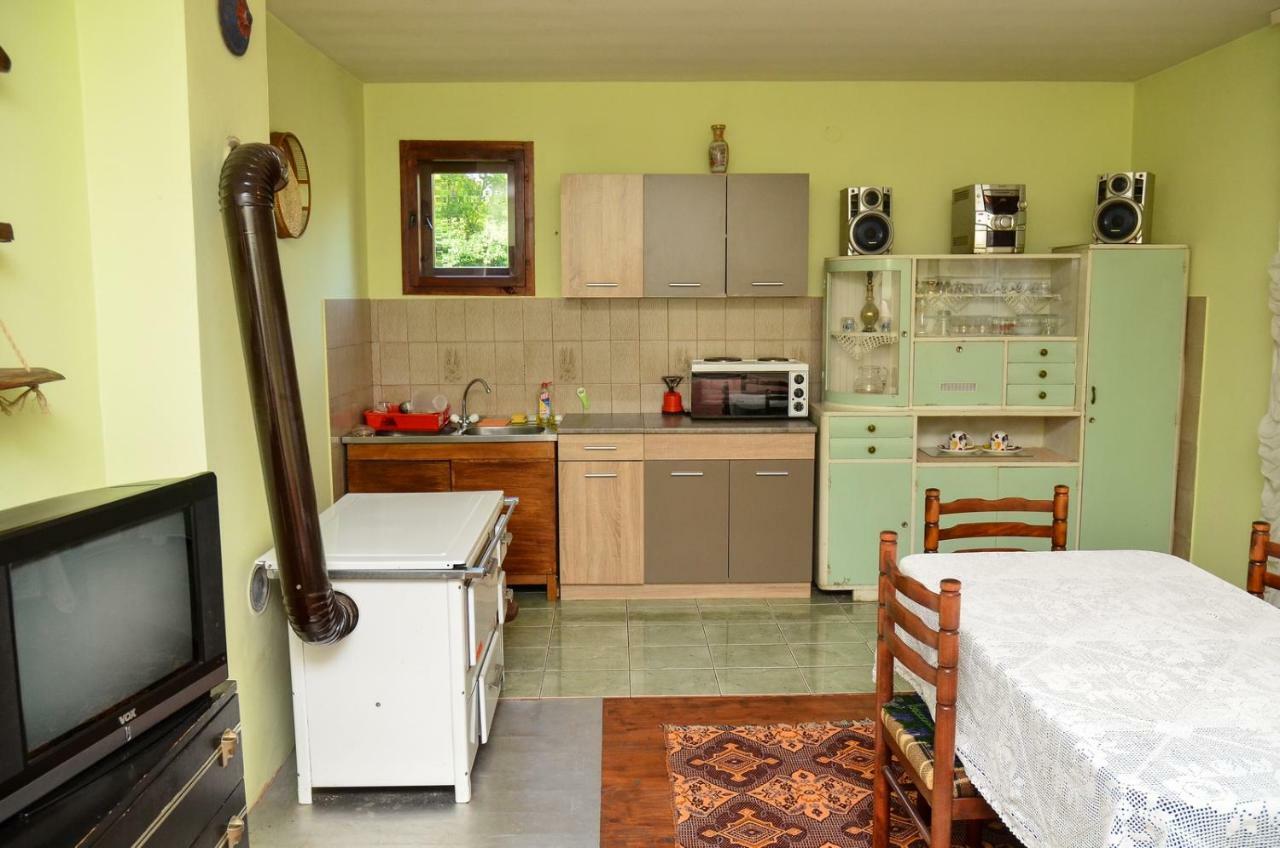 Kuca Za Odmor Radovanovic Despotovac Bagian luar foto